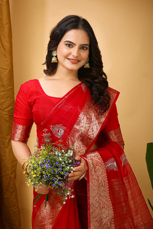 Organza Saree