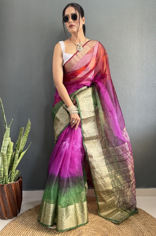 Organza Saree