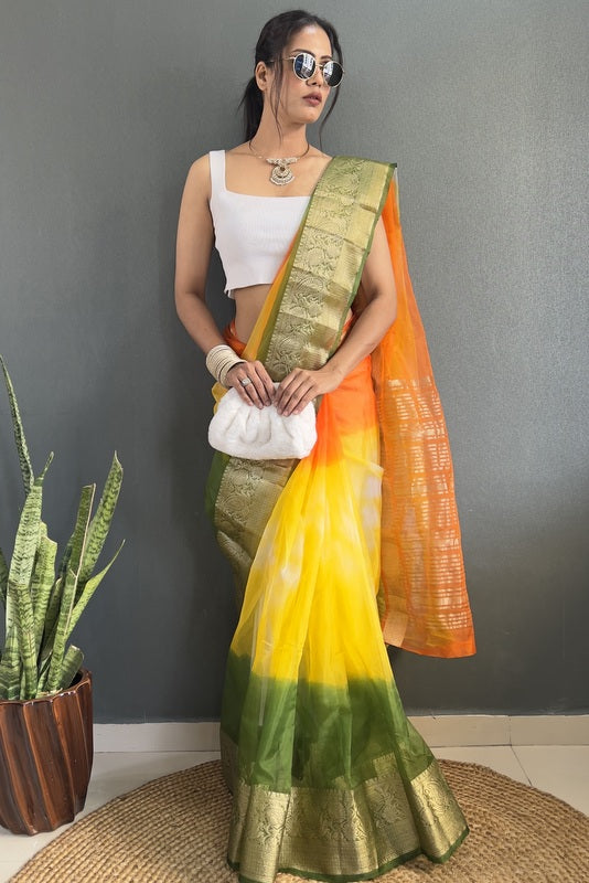 Organza Saree