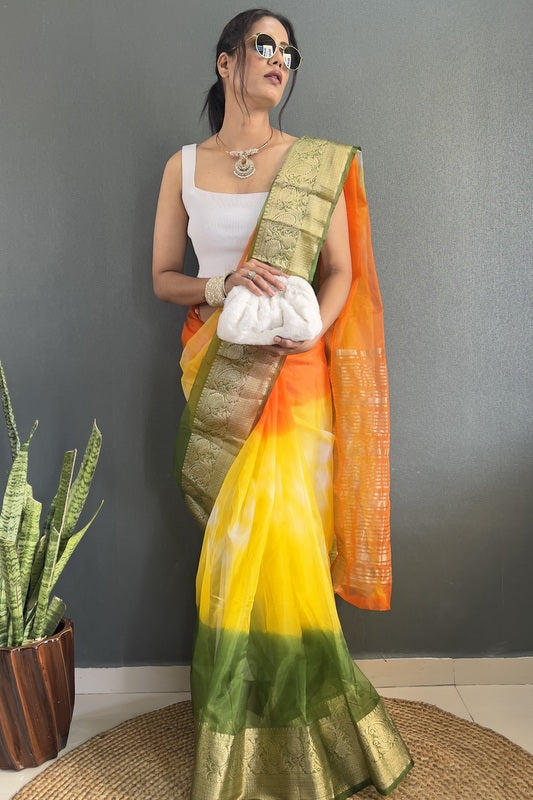 Organza Saree
