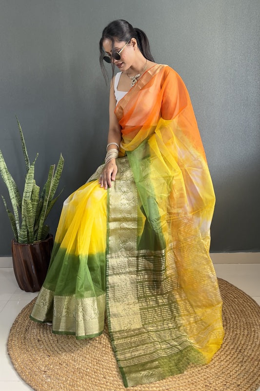 Organza Saree