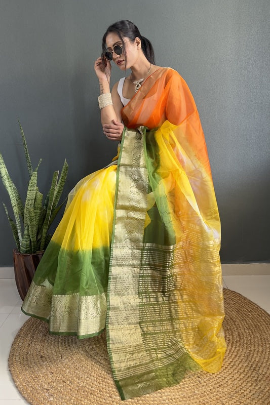 Organza Saree