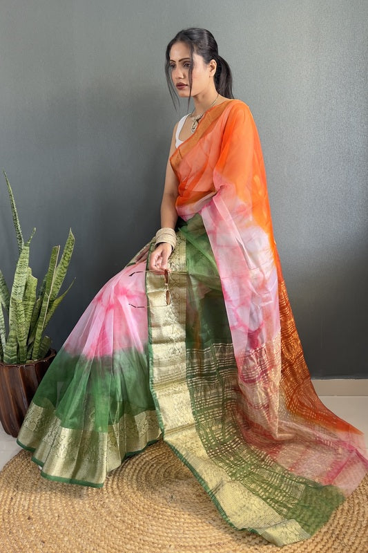 Organza Saree