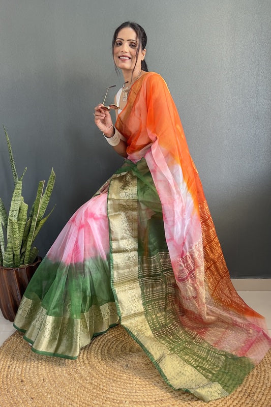 Organza Saree