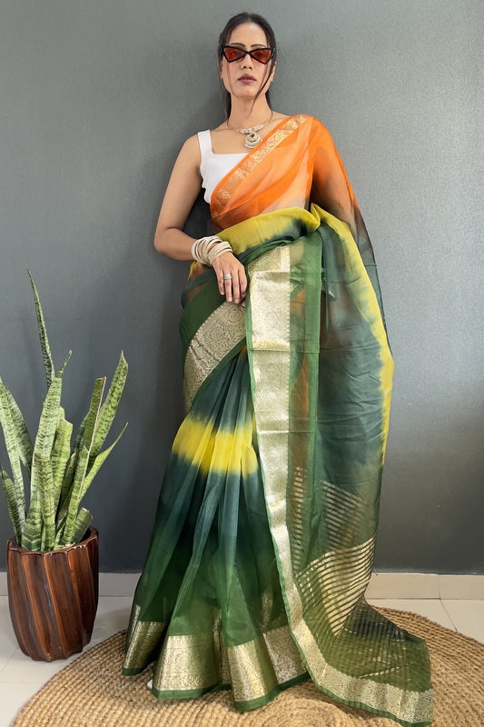 Organza Saree