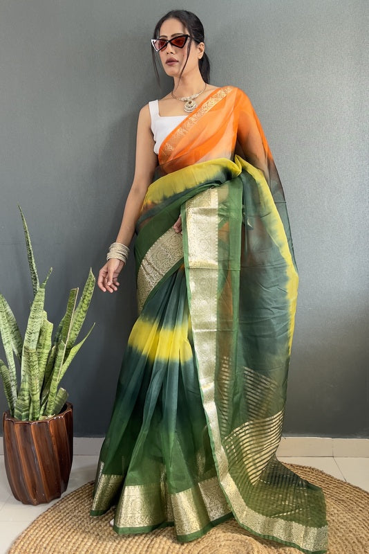 Organza Saree