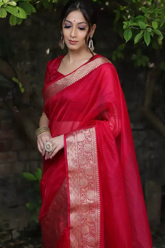 Organza Saree