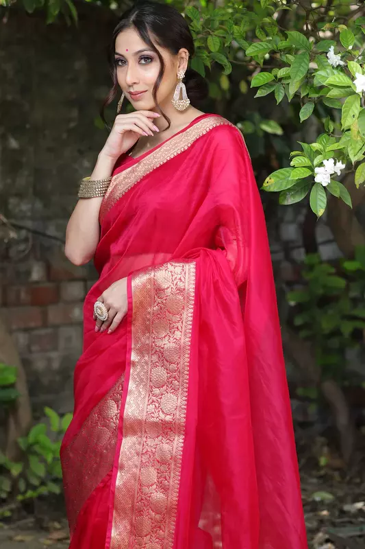 Organza Saree