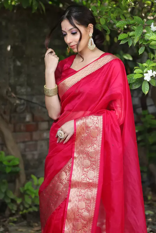 Organza Saree
