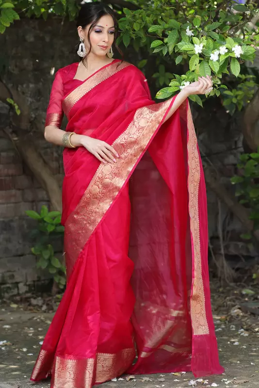 Organza Saree