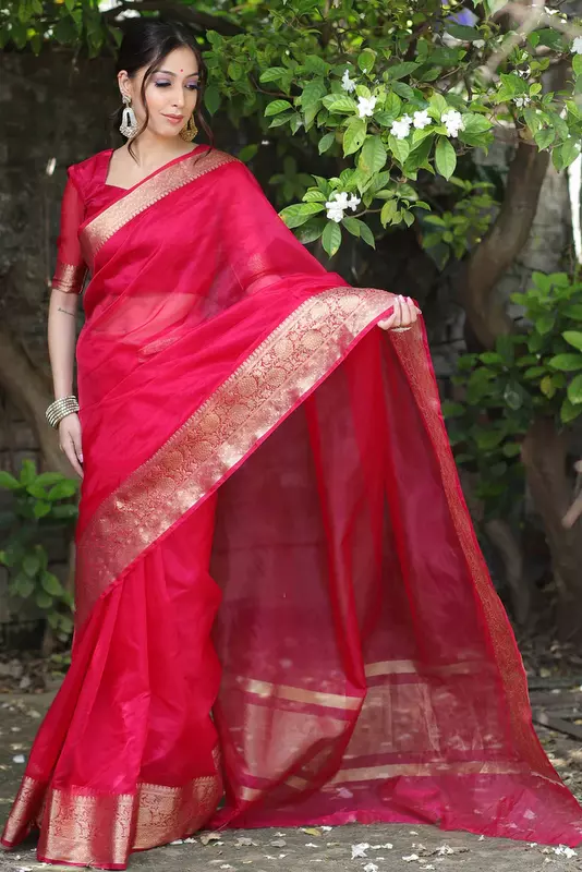 Organza Saree