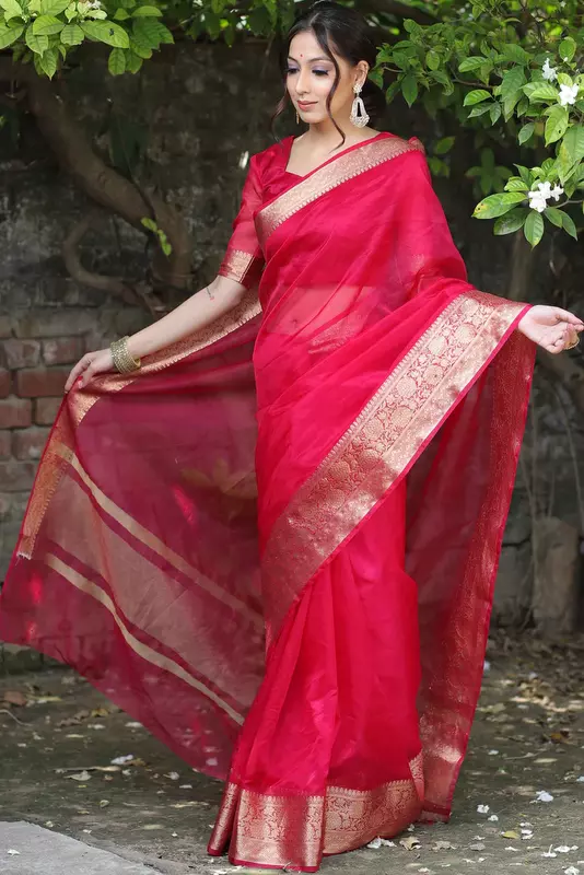 Organza Saree