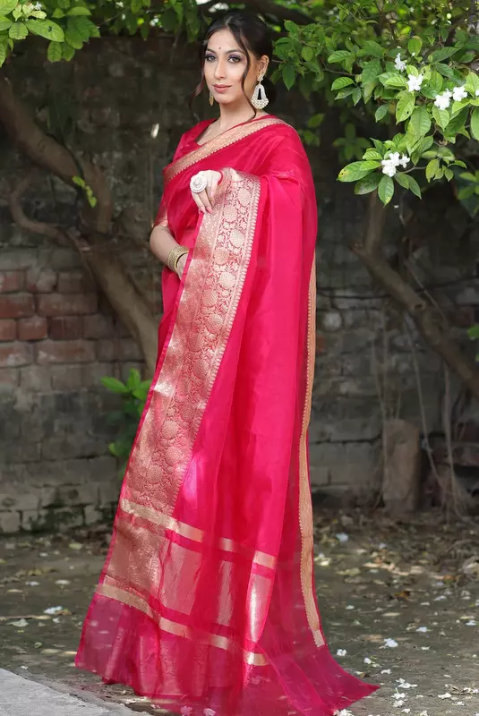 Organza Saree