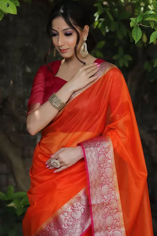 Organza Saree
