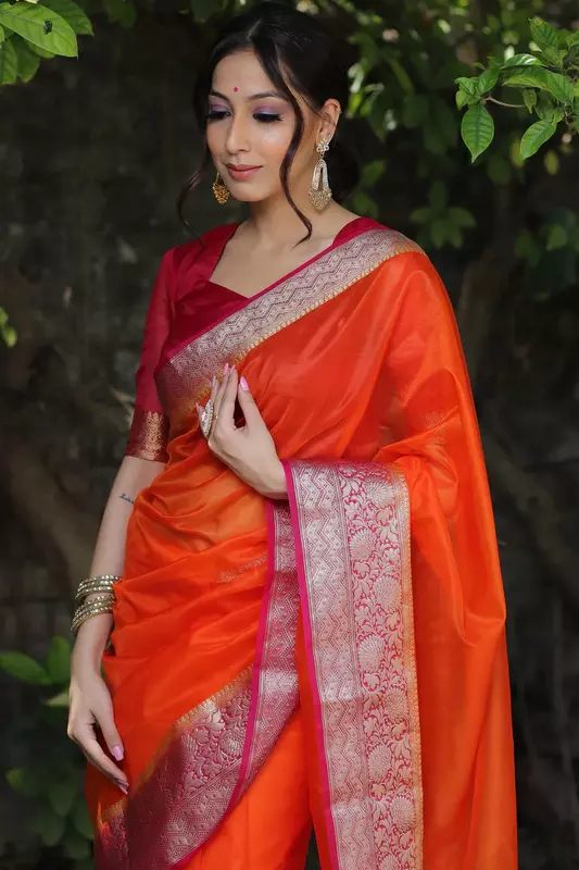 Organza Saree