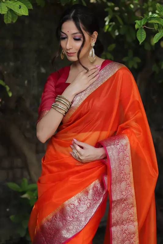 Organza Saree