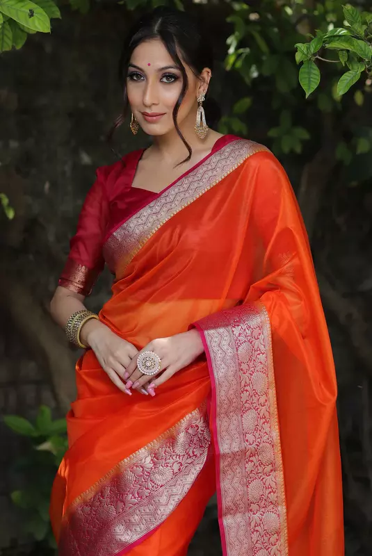 Organza Saree