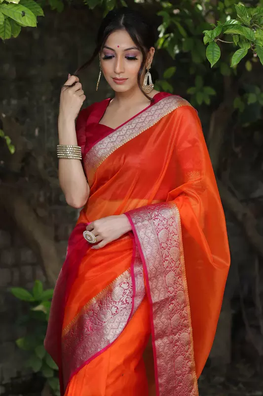 Organza Saree