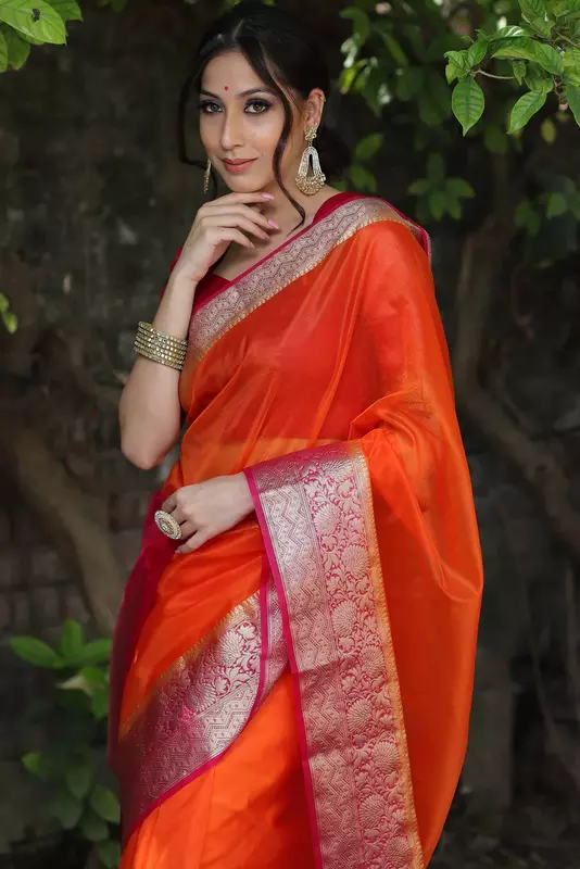 Organza Saree