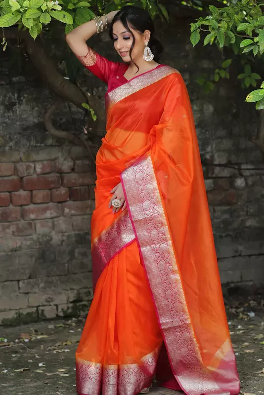 Organza Saree