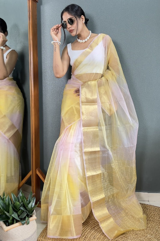 Organza Saree