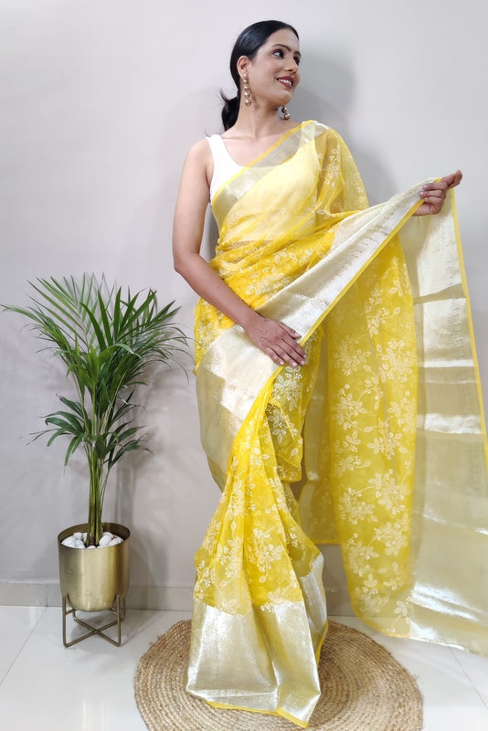 Organza Saree