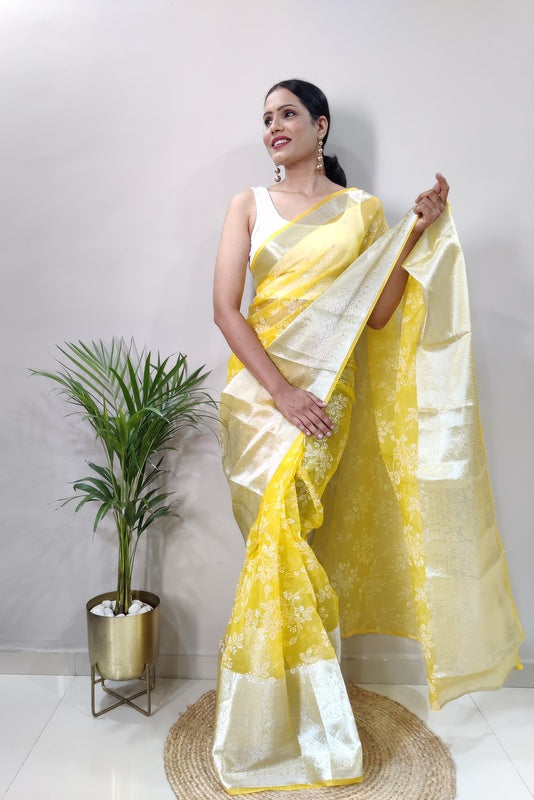 Organza Saree