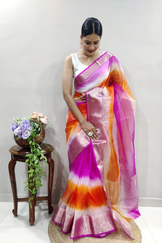 Organza Saree
