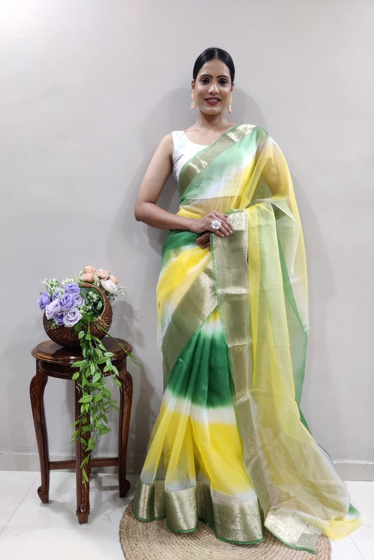 Organza Saree