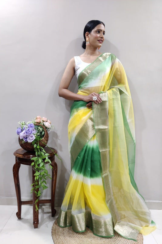 Organza Saree