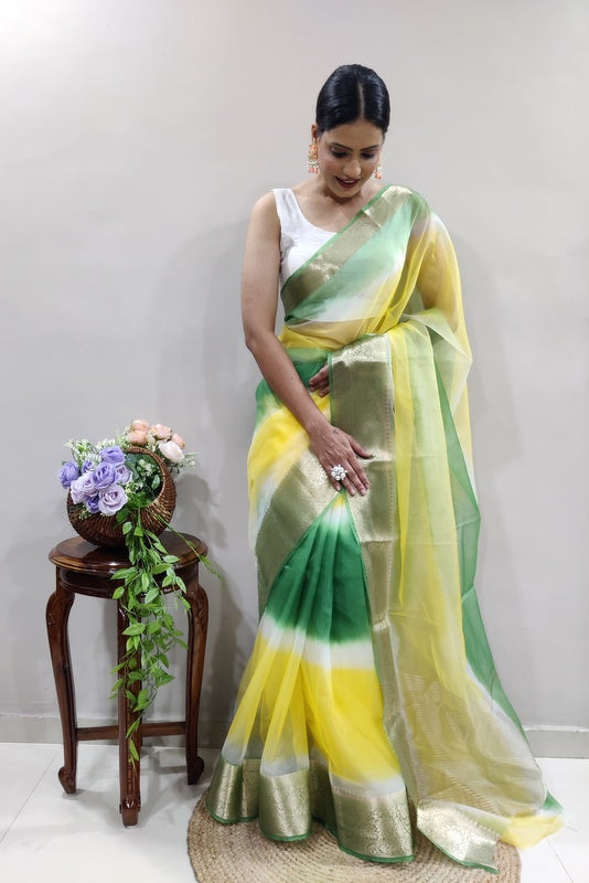 Organza Saree