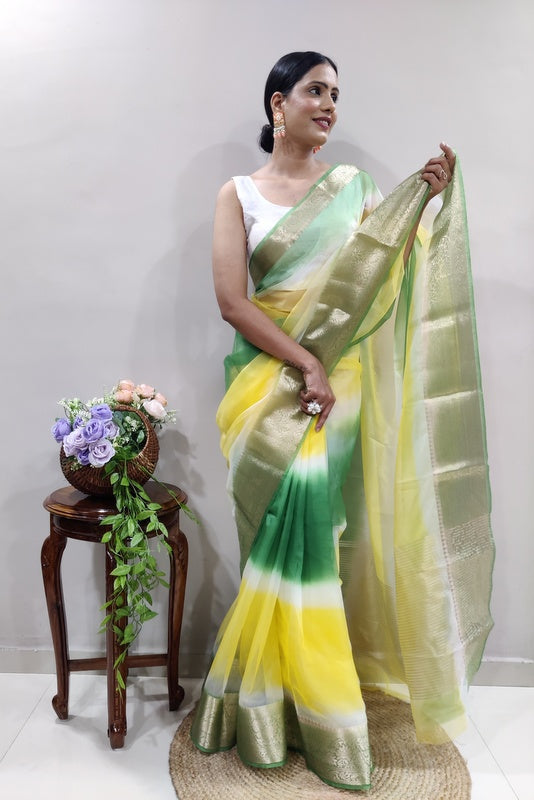 Organza Saree