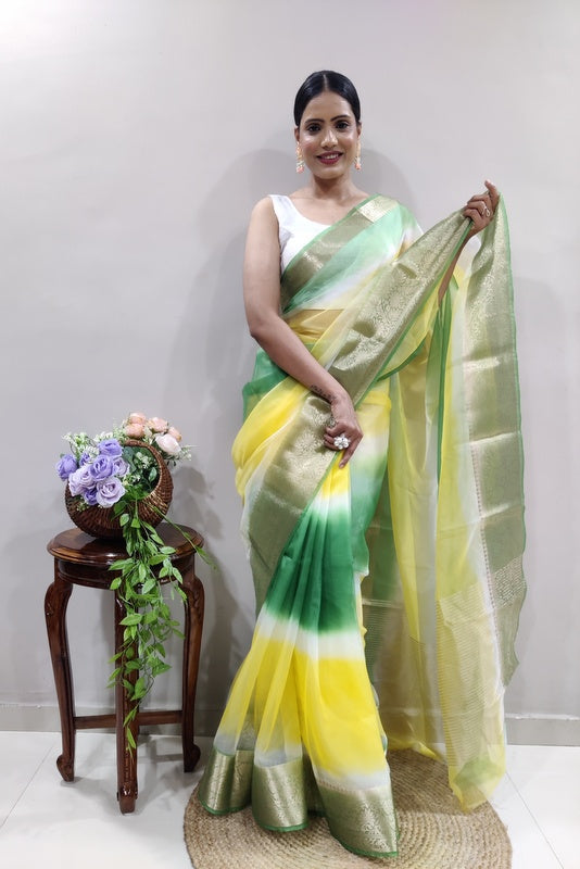 Organza Saree