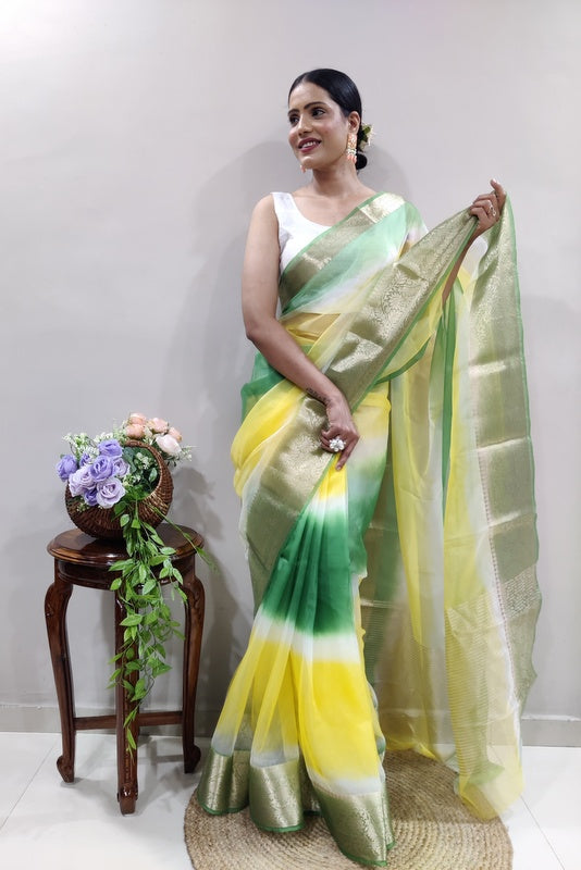 Organza Saree