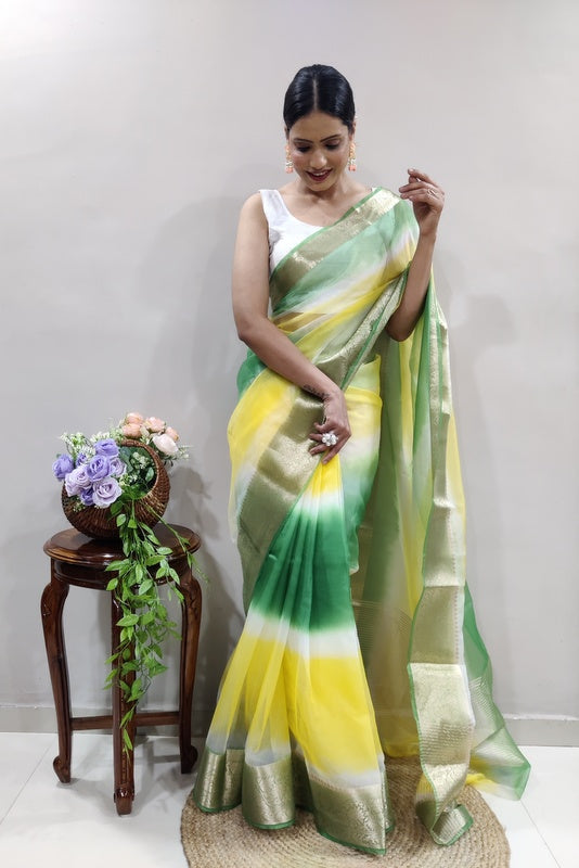 Organza Saree