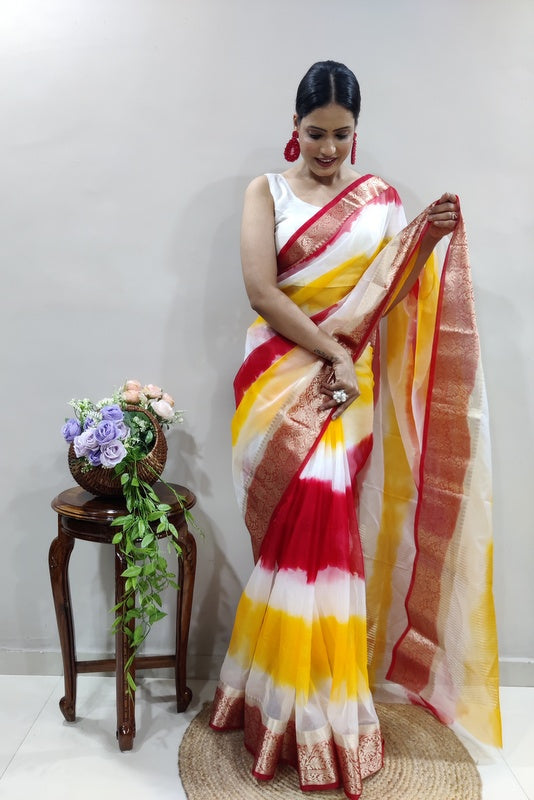 Organza Saree