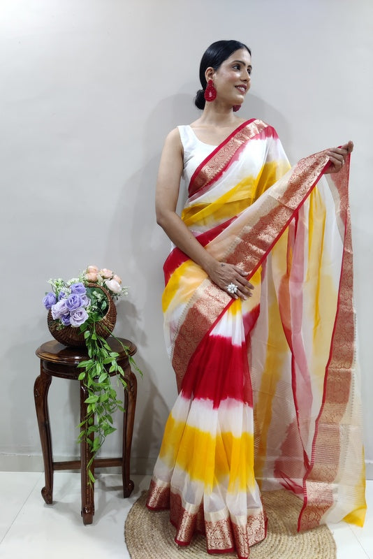 Organza Saree