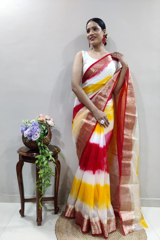 Organza Saree