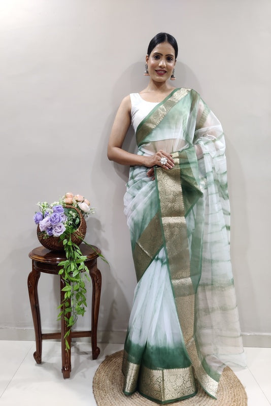 Organza Saree