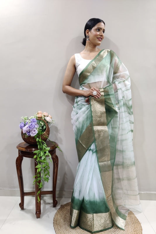 Organza Saree