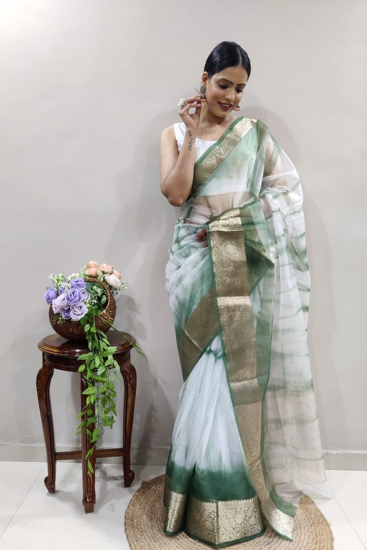 Organza Saree