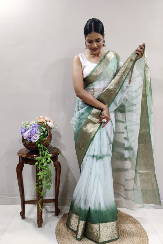 Organza Saree