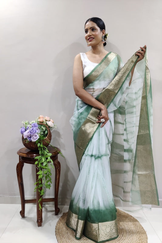 Organza Saree
