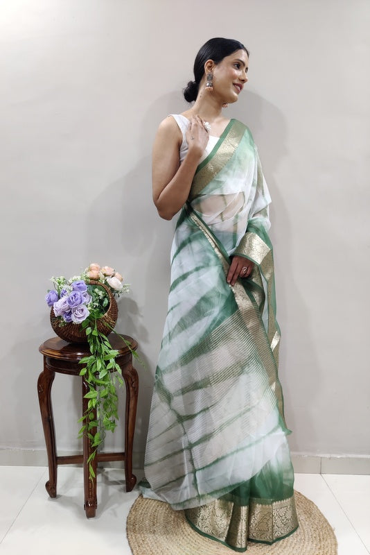 Organza Saree