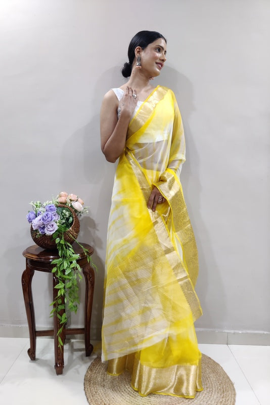 Organza Saree