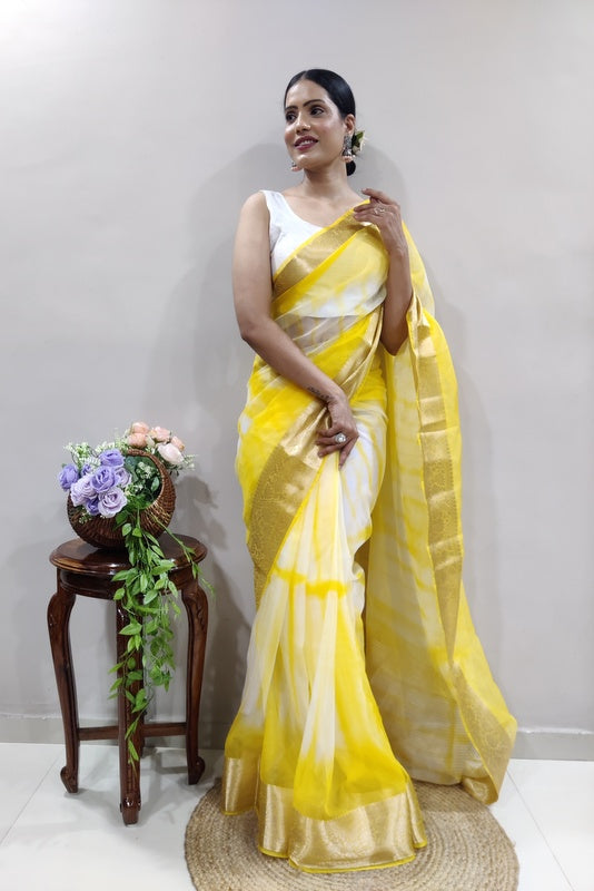 Organza Saree