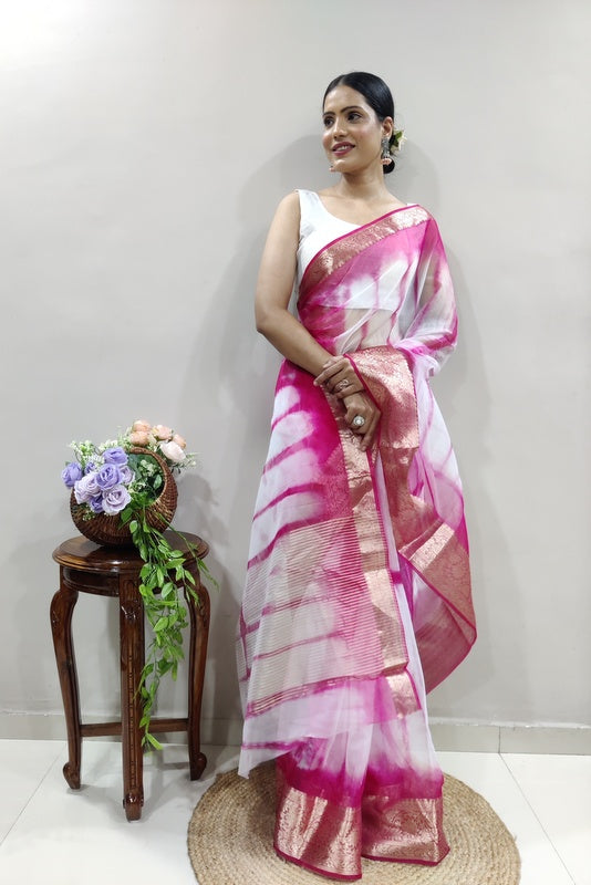 Organza Saree