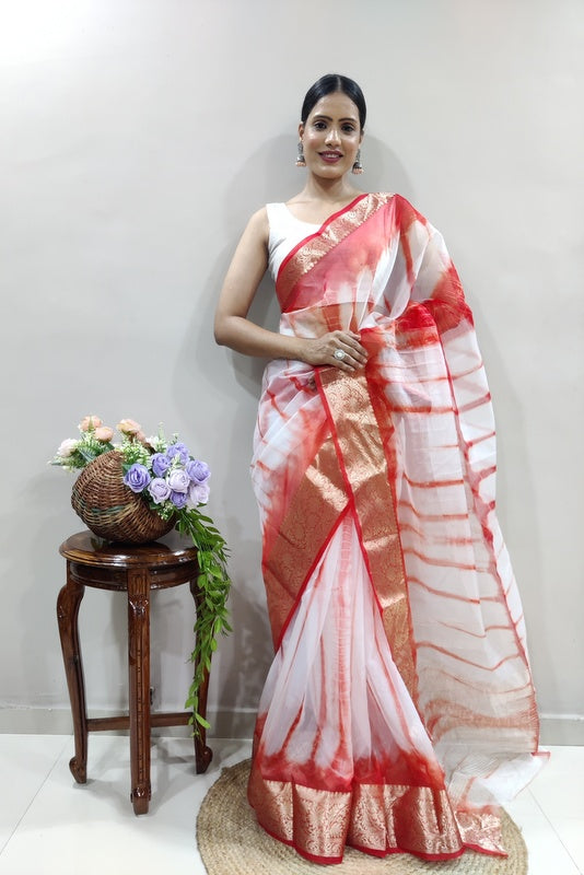 Organza Saree