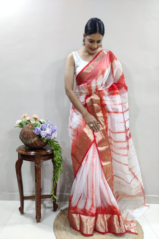 Organza Saree