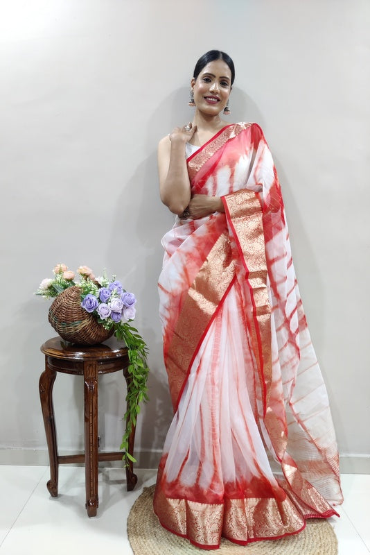 Organza Saree